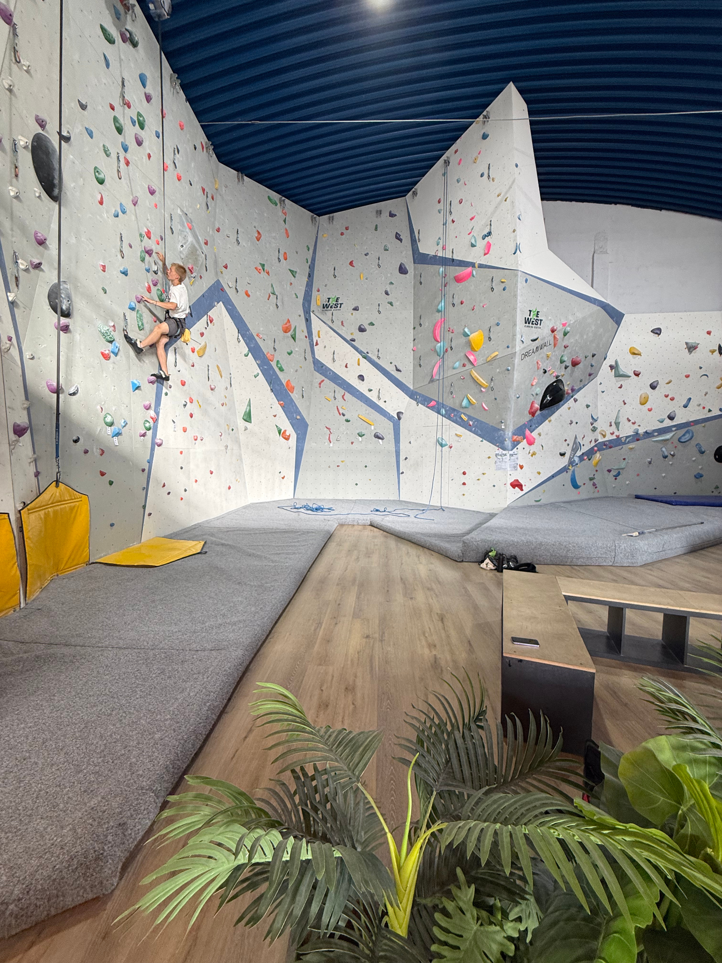 Indoor Climbing